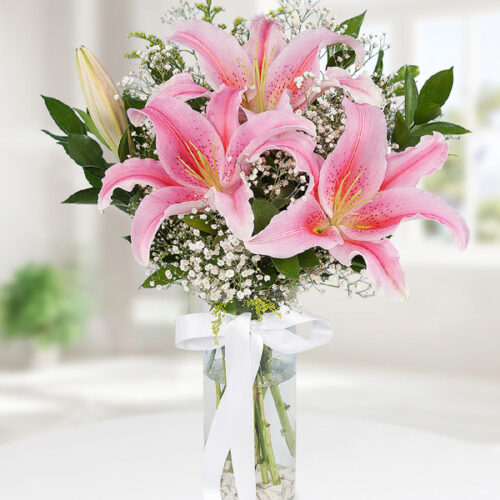 Pembe Kazablanka Lilyum